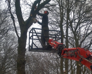 Verlengiek met snoeibak